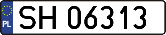 SH06313
