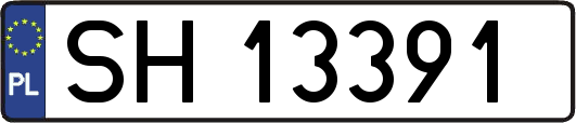 SH13391