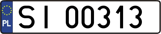 SI00313