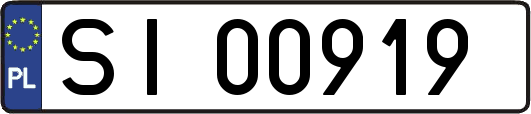 SI00919