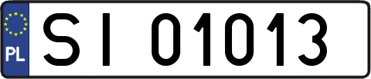 SI01013
