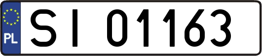 SI01163