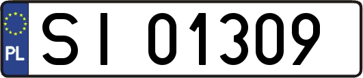 SI01309