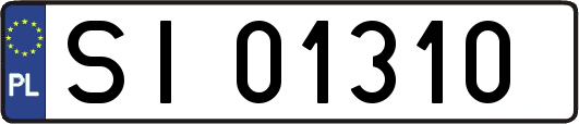 SI01310