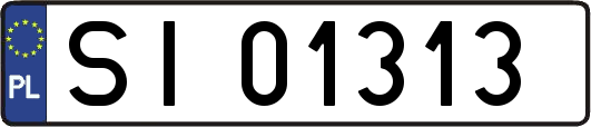 SI01313
