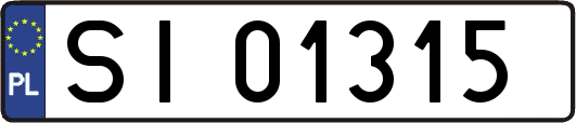 SI01315