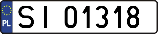 SI01318