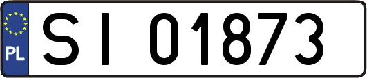 SI01873