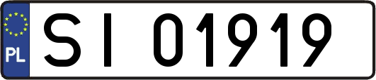 SI01919