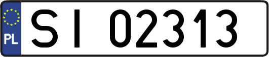 SI02313