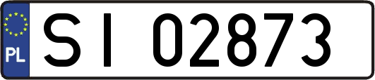 SI02873