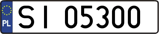 SI05300