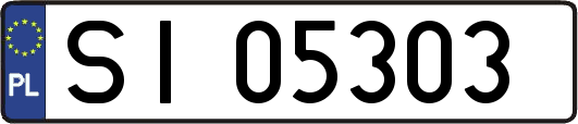 SI05303
