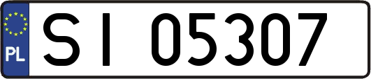 SI05307