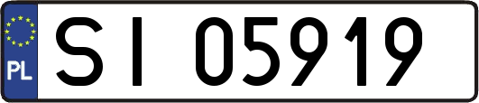 SI05919