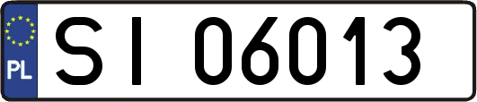 SI06013