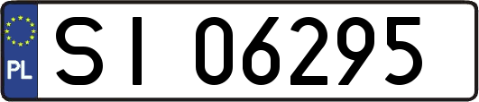 SI06295