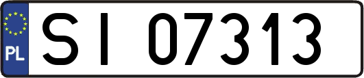 SI07313