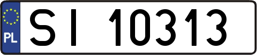 SI10313