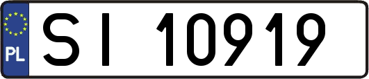 SI10919