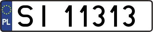 SI11313