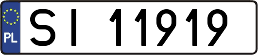 SI11919