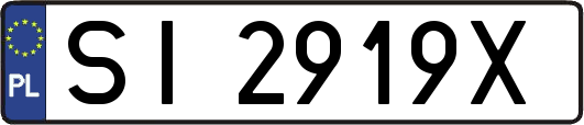 SI2919X