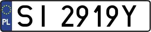 SI2919Y