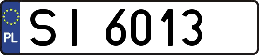 SI6013