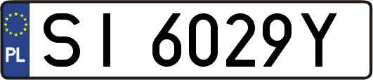 SI6029Y