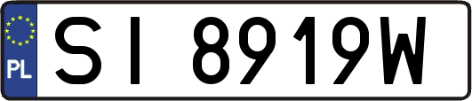 SI8919W