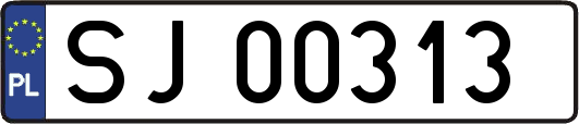 SJ00313