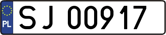 SJ00917