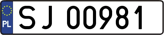 SJ00981