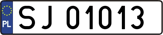 SJ01013