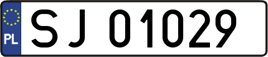 SJ01029