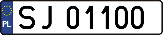 SJ01100