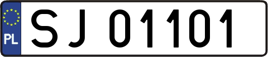 SJ01101