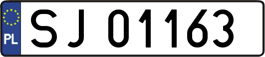 SJ01163