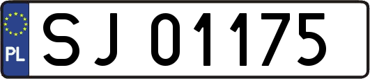 SJ01175