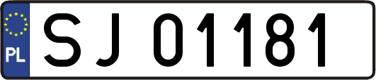 SJ01181