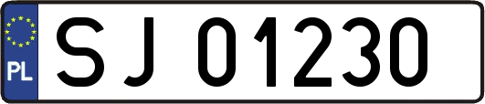 SJ01230