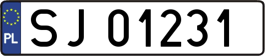 SJ01231