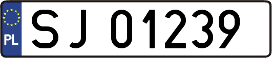 SJ01239