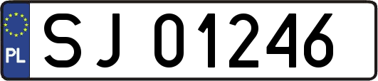 SJ01246