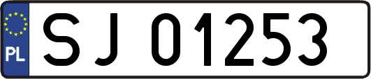 SJ01253