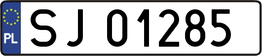 SJ01285
