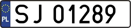 SJ01289