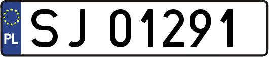SJ01291