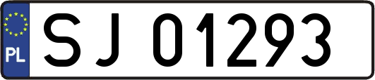 SJ01293